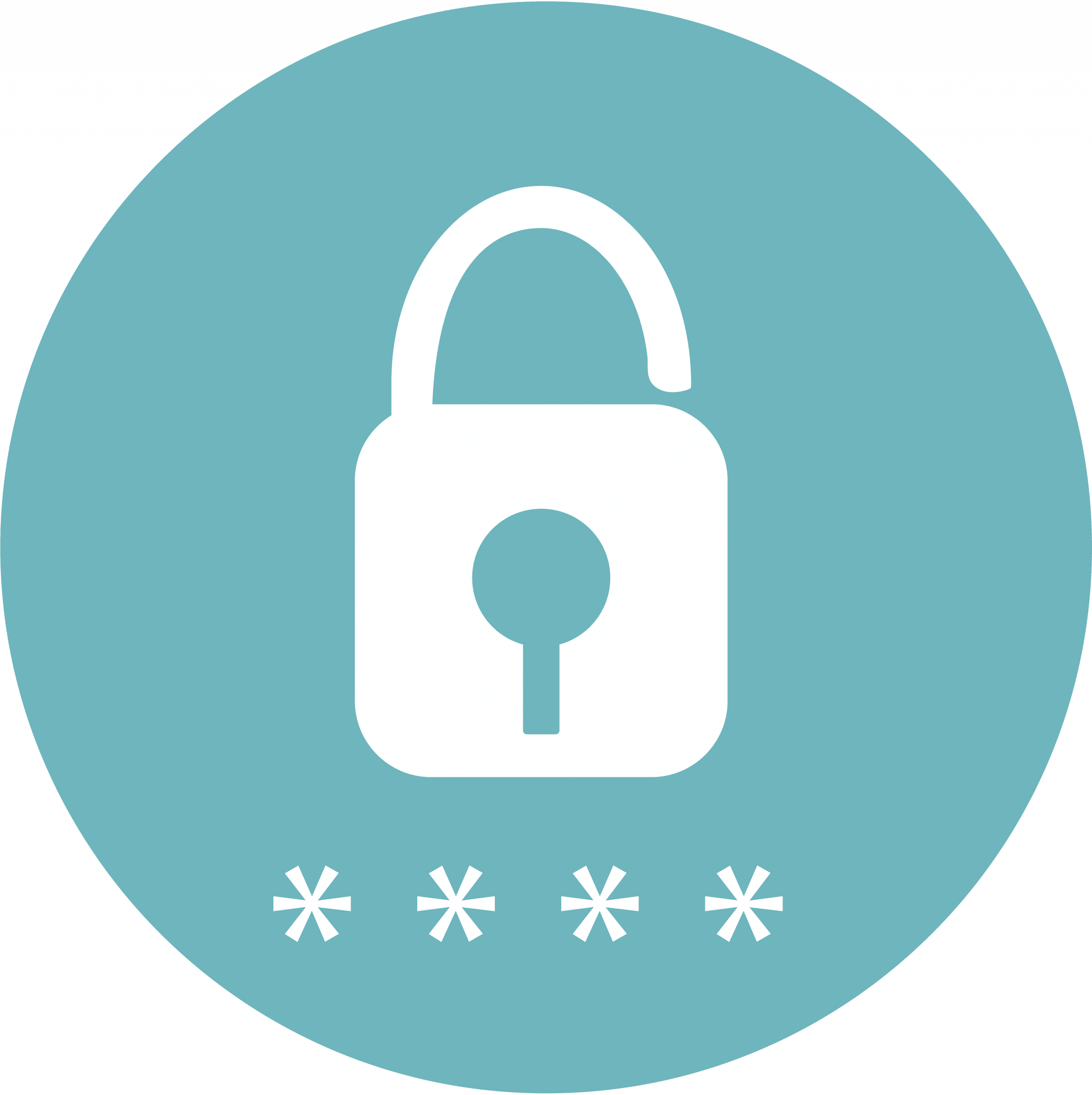 Icon Schloss-Symbol für die Datensicherheit von Novego